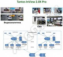 Tantos InView 2.5X Pro
