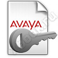 AVAYA 229439