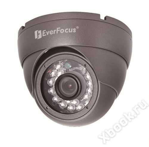 EverFocus EBD-331 вид спереди