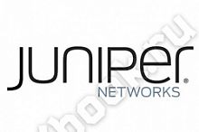 Juniper PF-BLANK