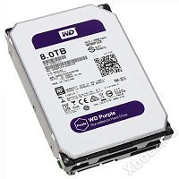 WD WD80PURZ