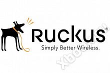 Ruckus Wireless 909-0100-SG00